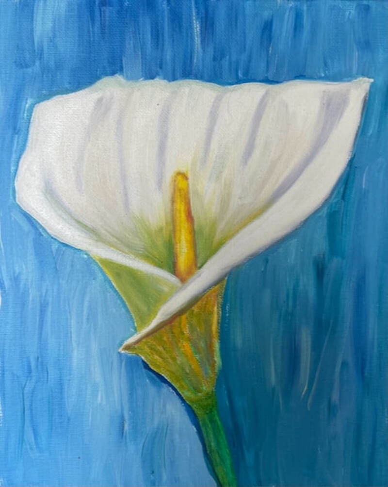 LILY IV
