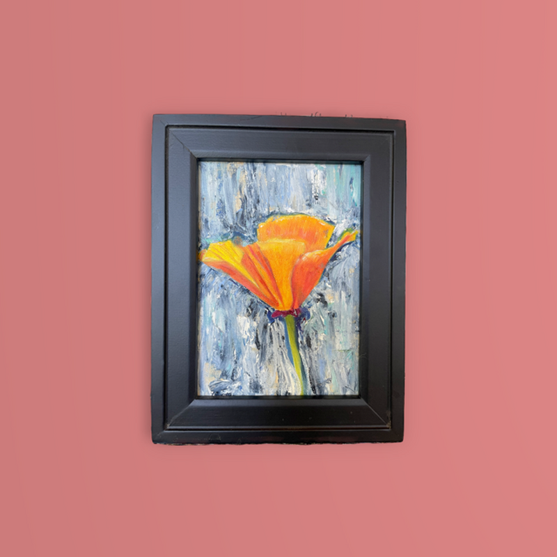 California Poppy 2